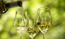 白葡萄酒陈年潜力 你知道多少？