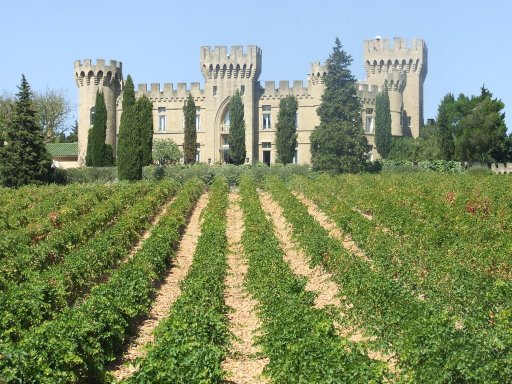 卡门萨克酒庄酒庄（又译：迪金美莎 法文：Chateau Camensac）五级酒庄(18/61)