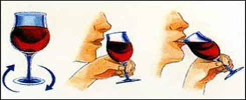 葡萄酒怎样入门(七)—饮红酒的四个过程
