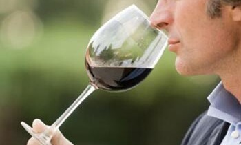 葡萄酒产区减产 明年将出现全球性葡萄酒短缺