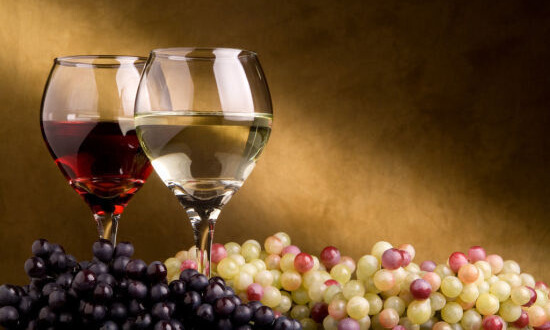 法国葡萄酒文化之法国葡萄酒品种划分