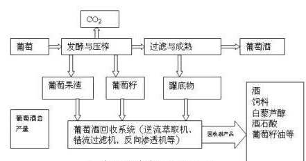 红葡萄酒和白藜芦醇健康益处