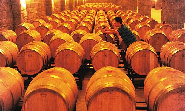 国内葡萄酒市场飞速发展 进口需求旺盛