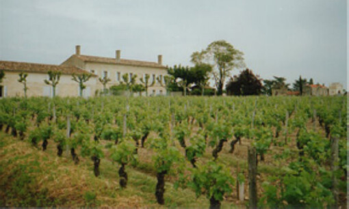 克里奈教堂庄园（Chateau l'Eglise-Clinet）——波美侯名庄）